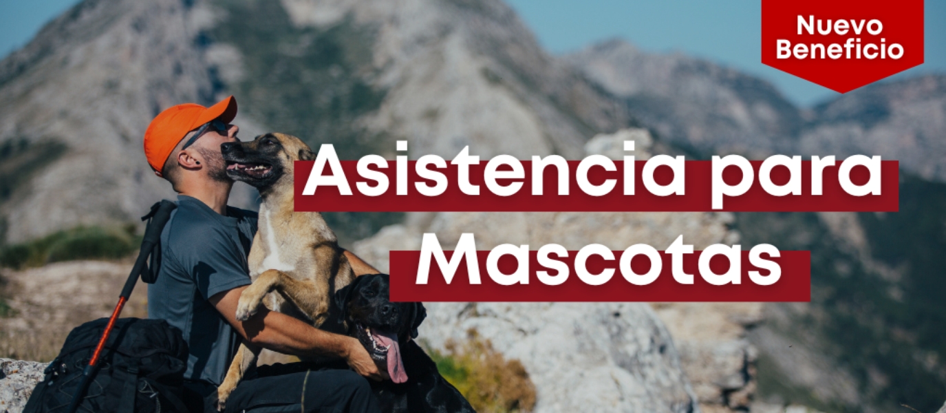 Asistencia para Mascotas